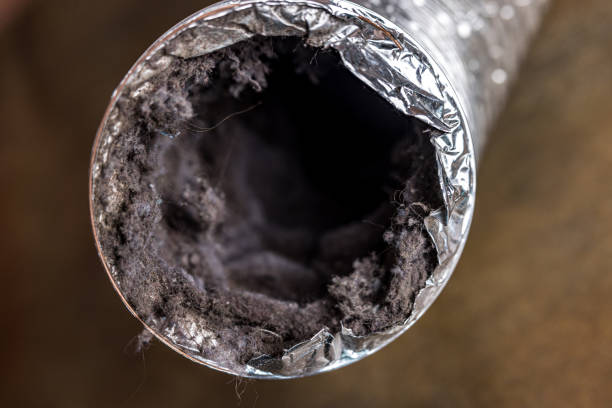 Best Professional Duct Cleaning Services  in Camn, DE